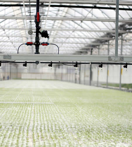 I+D+i Tecnobioplant