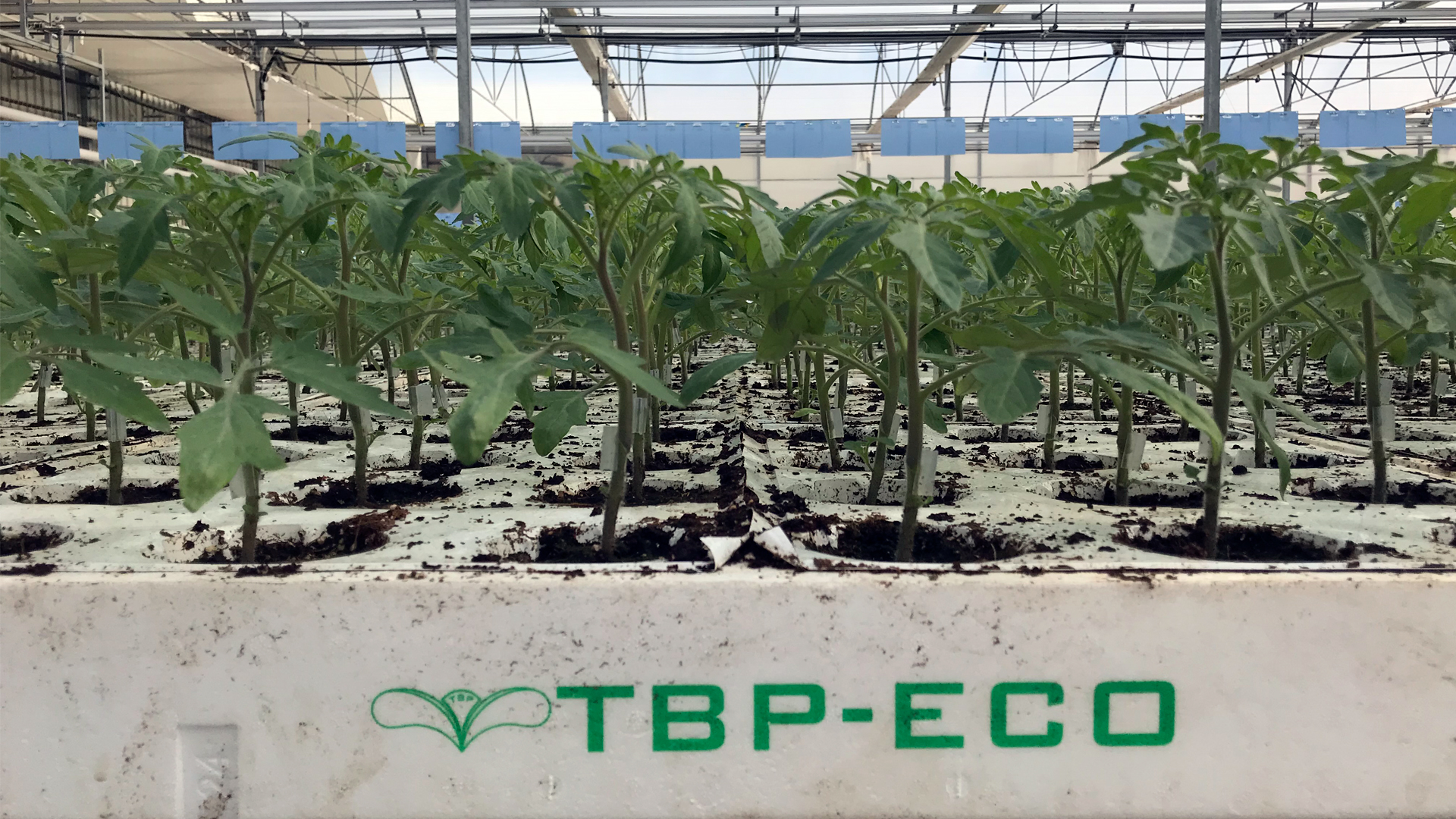 tecnobioplant-planta-ecologica-03